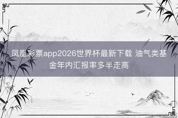 凤凰彩票app2026世界杯最新下载 油气类基金年内汇报率多半走高