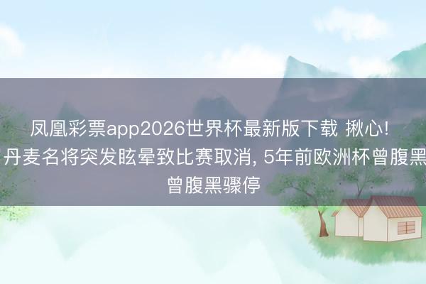 凤凰彩票app2026世界杯最新版下载 揪心! 34岁丹麦名将突发眩晕致比赛取消, 5年前欧洲杯曾腹黑骤停