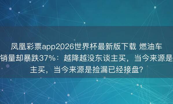 凤凰彩票app2026世界杯最新版下载 燃油车均价降2.5万，销量却暴跌37%：越降越没东谈主买，当今来源是捡漏已经接盘？