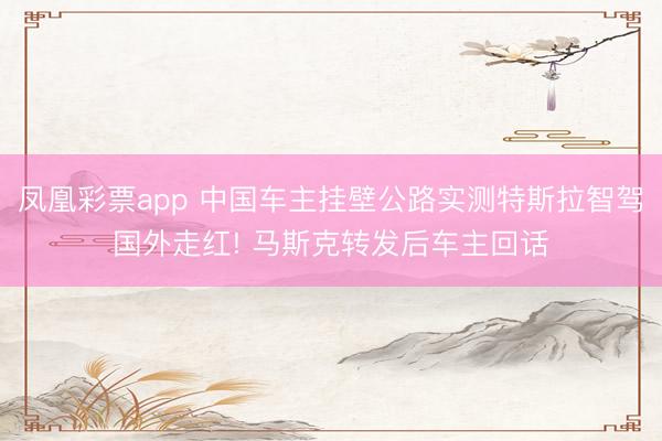 凤凰彩票app 中国车主挂壁公路实测特斯拉智驾国外走红! 马斯克转发后车主回话