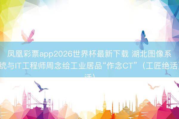 凤凰彩票app2026世界杯最新下载 湖北图像系统与IT工程师周念给工业居品“作念CT”(工匠绝活)