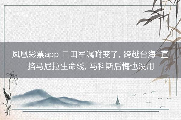 凤凰彩票app 目田军嘱咐变了， 跨越台海， 直掐马尼拉生命线， 马科斯后悔也没用