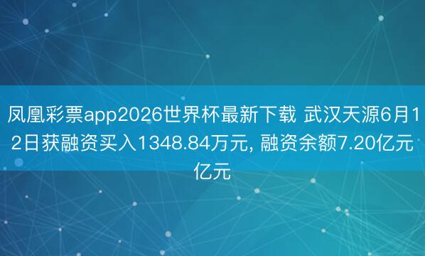 凤凰彩票app2026世界杯最新下载 武汉天源6月12日获融资买入1348.84万元, 融资余额7.20亿元