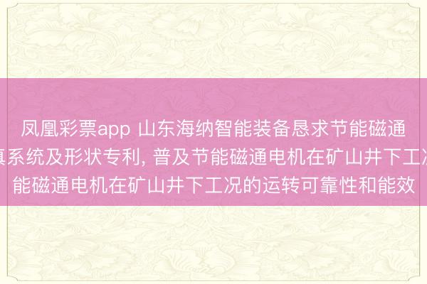 凤凰彩票app 山东海纳智能装备恳求节能磁通电机磁路模子会通仿真系统及形状专利， 普及节能磁通电机在矿山井下工况的运转可靠性和能效